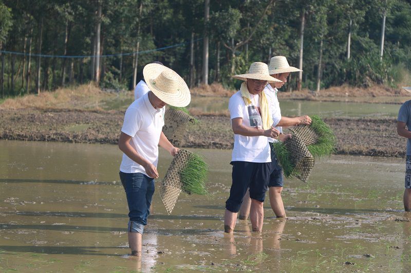 活動(dòng)過程修圖.jpg